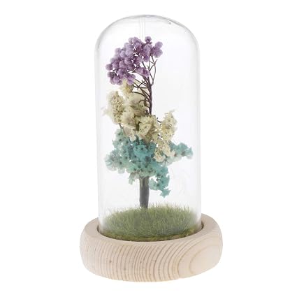 D Dolity Fleur Plante Séchée Sous Cloche En Verre Socle Bois