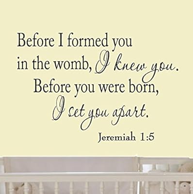 Before I formed you in the womb I knew you. Before you were born, I set you apart. Jeremiah 1-5 Vinyl Wall Art Religious Home Decor Bible Scripture Quote Nursery Wall Decals