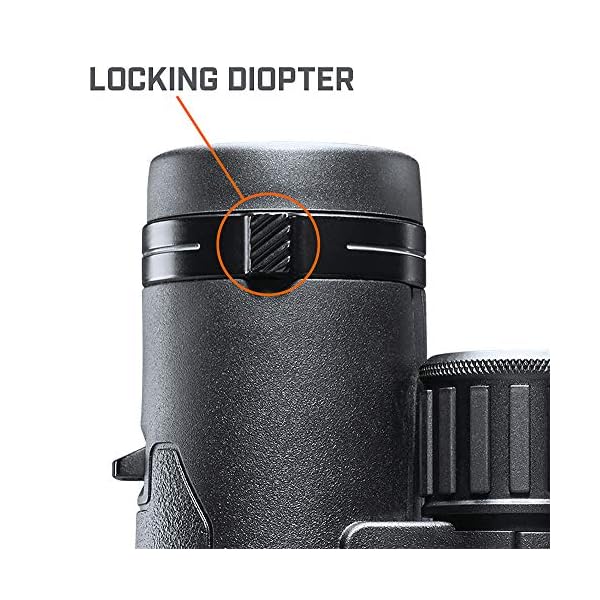 Bushnell Fernglas Engage DX 10x42 - Profi Fernglas, brilliante Bildqualität, detailreich, robust, mehrfach beschichtete Linsen, BENDX1042 – Bild 8
