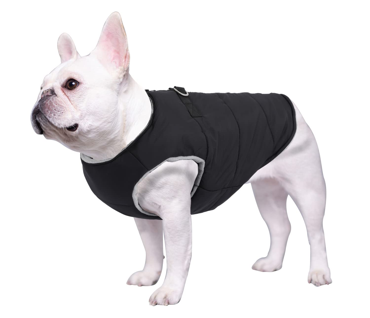 Geyecete French Bulldog & Pug Clothes - Cotton Padded Coat Thick Zipper Pet Clothing-Black-L - Winter Warm