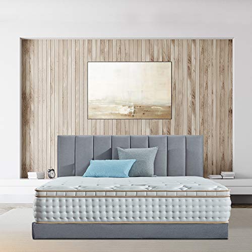 Best Queen Bed Frame Euro Design