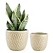 Greenaholics Plaid Yellow Ceramic Flower Pots - 6 Inch + 4.7 Inch Indoor Planters with Drainage Holes for Bonsai Succulents Set of 2