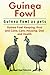 Guinea Fowl. Guinea Fowl as pets. Guinea Fowl Keeping, Pros and Cons, Care, Housing, Diet and Health by Roger Rodendale