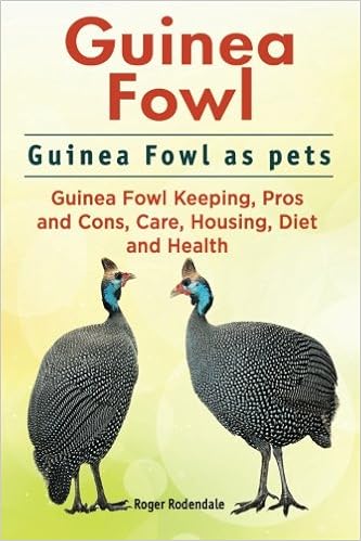 Guinea Fowl. Guinea Fowl as pets. Guinea Fowl Keeping, Pros and Cons, Care, Housing, Diet and Health. Guinea Fowl. Guinea Fowl as pets. Guinea Fowl Keeping, Pros and Cons, Care, Housing, Diet and Health.
