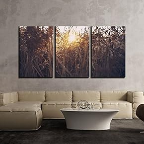 3 Piece Canvas Wall Art - Nature Landscape at Sunset - Modern Home Art Stretched and Framed Ready to Hang - 16"x24"x3 Panels