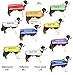 Deaf Dog Dexil Friendly Dog Collars Color Coded Dog Accident Prevention Leash 6ft/1.8m Prevents Dog Accidents by Letting Others Know Your Dog in Advance Award Winning