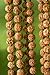 Rudraksha Seed Mala - 108 Beads 8mm
