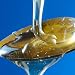 TFA Flavor Concentrates - 30ml - Sweetener