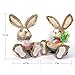 Easter Bunny Decorations, Soobuy 11