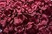 La Tartelette Silk Rose Petals Wedding Flower Decoration (2000 Pcs, Burgundy)
