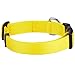 Blueberry Pet Essentials Small Dog Collar | Girl Dog Collars Fall | Female Dog Collar Small | Blazing Yellow Dog Collars for Small Dogs | Quick Release Dog Collar | Blazing Yellow Nylon Dog Collar