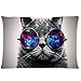 Galaxy Hipster Cat Theme(3D) Funny Cat Wear Color Sunglasses Soft Custom Rectangle Pillowcase Pillow Case Covers 20X30(One Side)