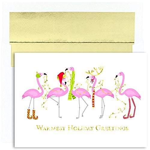 Masterpiece Warmest Wishes 18-Count Christmas Cards, Fashionista Flamingos