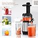 Homgeek Juicer Slow Masticating Juicer Extractor, Cold Press Juicer Machine, Quiet Motor and Reverse Function, with Juice Jug and Brush to Clean Conveniently, High Nutrient Fruit and Vegetable Juice (Sliver)