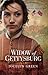 Widow of Gettysburg (Heroines Behind the Lines Book 2) by Jocelyn Green