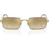 Ray-Ban A$AP Rocky RB3929 Wired Metal Collection Oval Sunglasses