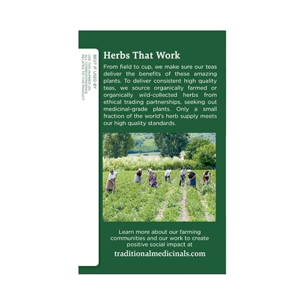 TRADITIONAL MEDICINALS ORGANIC TEA – SPEARMINT 16 BAGS (PACK OF 2)