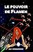 Le pouvoir de Flamen (French Edition) by Joël Verbauwhede