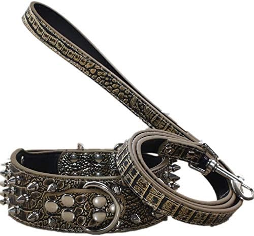 haoyueer Spiked Studded Leather Dog Collar & Leash 2Pcs Matching Set Fit for Medium & Large Dogs Pitbull Husky Mastiff Terrier 3 Rows Bullet Rivets Studded Leather(Gold Brown,L)