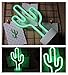 LoveNite Neon Indoor Night Light, Battery Operated Glowing Neon Decorative Sign LED Light for Room Party Festival Decorations (Cactus)