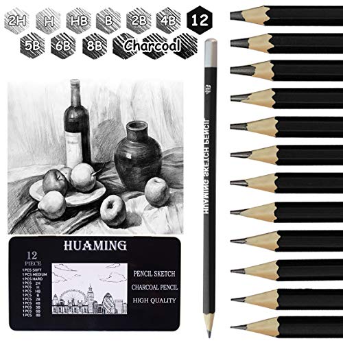 Surcotto Professional Sketching Pencils - 9 Pencils with 3 Charcoal, Eraser and Sharpener (2H-8B)
