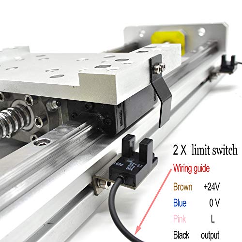 Electric Linear Rail Guide 200mm Ballscrew 1605 Slide Stage Load 250kg