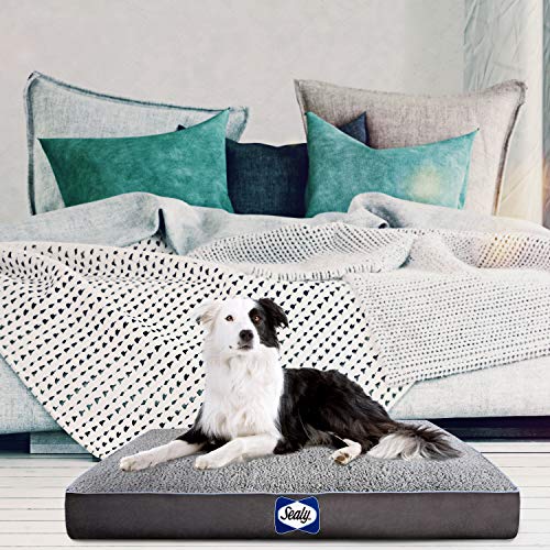 Sealy Cushy Comfy Pet Dog Bed Memory and Orthopedic foam with Cooling