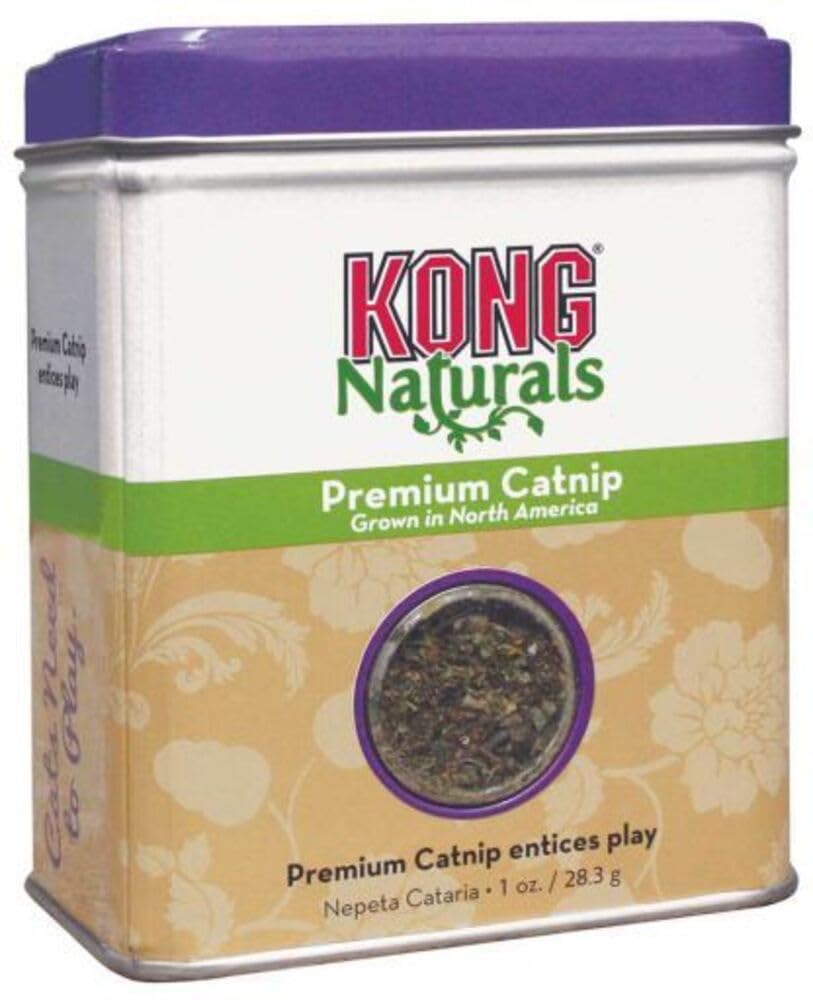 Kong Premium Quality Catnip 1oz Jar