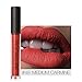 Hot Sales! DEESEE(TM) FOCALLURE New Lipstick Cosmetics Women Sexy Lips Matte Lip Gloss Party (H)