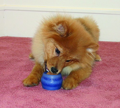 Starmark Everlasting Treat Ball Toy, Blue, Small