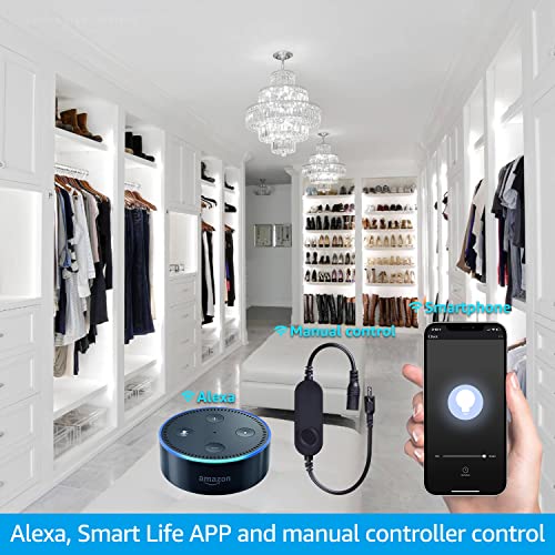 TORCHSTAR Voice Control Smart LED Safe Lighting Kit, (6) 12 Inch