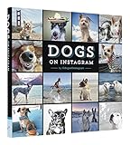 Image de Dogs on Instagram
