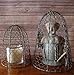Colonial Tin Works Chicken Wire Cloche, 10 inches tall, Vintage, Rustic Barn Roof Finish, Silver