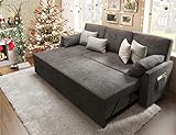 PaPaJet Sofa Bed, Sofa Sleeper with Storage