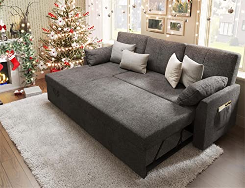 PaPaJet Sofa Bed, Sofa Sleeper with Storage