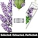 ApotheCARE Essentials The Colorist Conditioner, Lavender, Moroccan Mint, Cactus Milk, 12 oz