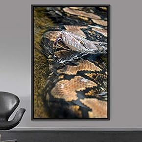 signwin Framed Canvas Wall Art Snake Contemporary Dramatic...