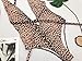 SFHFY Womens Monokini Swimsuits One Piece Deep V Monokinis Leopard Print Sexy Swimsuit Open Back Bathing Suit