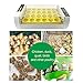 Yunt 24 Digital Clear Egg Automatic Incubator Hatcher Temperature Control Automatic Egg Turning for Chicken Duck Quail Birds