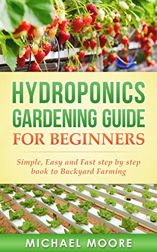 Hydroponics Beginners Guide To The Different Hydroponic Systems
