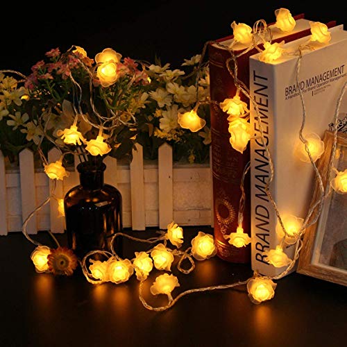 Soul hill Las Luces navideñas, 5M AC220V 40LEDs luz 8 Modos de la Flor