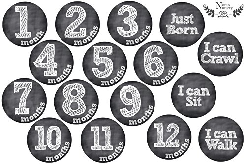 1 Deluxe+Set+Milestones+Holidays+Chalkboard