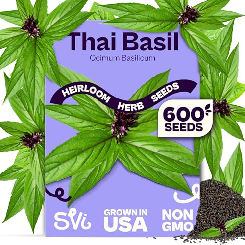 SVI 600 Sweet Thai Basil Seeds