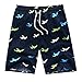Men's Printing Quick Dry Beach Shorts Swim Trunk, Style 01, XL(waist:33