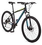 Schwinn Mesa 2 Adult Mountain Bike, 21