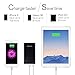 Lumsing 8000mAh Power Bank 2 Port USB Portable Charger Battery Pack for iPhone, Android (Black)