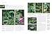 Designing and Creating a Cottage Garden: How to cultivate a garden full of flowers, herbs, trees, fruit, vegetables and livestock, with 300 inspirational photographs