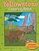 Yellowstone Coloring Book