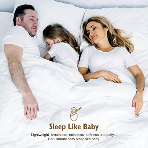 DWR Luxury Pima Cotton Goose Feathers Down Duvet Insert King AllSeasons Down Comforter