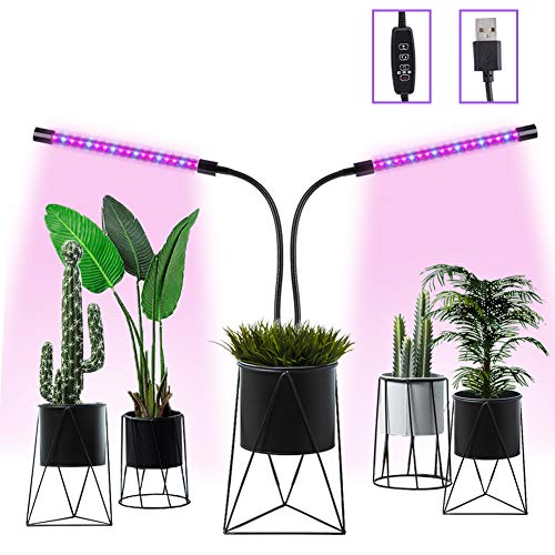 15 Best Grow Lights For Indoor Plants (LED, Clip On, Small, Large)